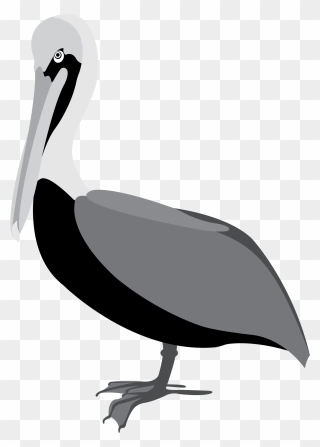 Black And White Pelican Vector Clip Art - Pelicans Vector Png Transparent Png