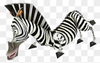 #zebra#waltdisney #white #black#animal #zoo #jungle - Zebra Clipart