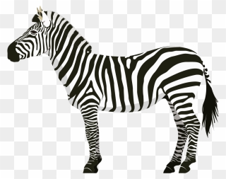 Zebra Unicorn Transparent Clipart