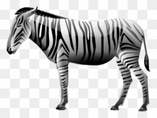 Zebra Png Transparent Images - Zebra Icon Transparent Clipart