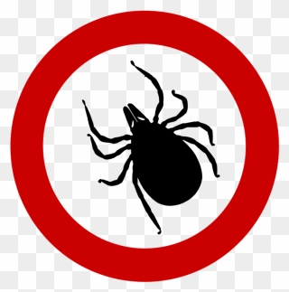 Transparent Parasite Png - Tick Bug Png Clipart
