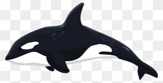 Orca Clipart Whale Dolphin, Orca Whale Dolphin Transparent - Transparent Killer Whale Clipart - Png Download