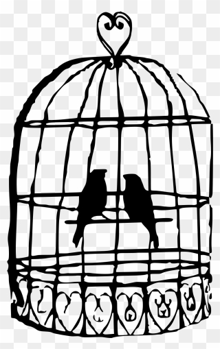Birds In Cage Drawing Clipart