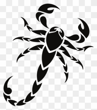 Scorpion Clip Art Graphics - Scorpion Icon - Png Download