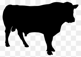 Cattle Vector Graphics Clip Art Royalty-free Illustration - Silhouette Of Cow - Png Download