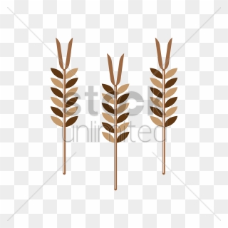 Cereal Clipart Wheat Stalk For Free Download And Use - Illustration - Png Download