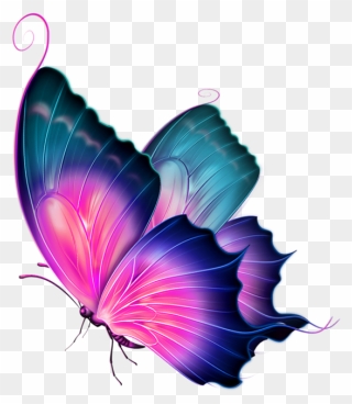 Clip Art Transprent Png - Butterfly Images For Editing Transparent Png