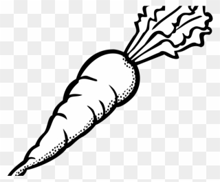 Carrot Black And White Clipart
