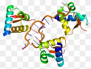 Rna - Protein Structure No Background Clipart