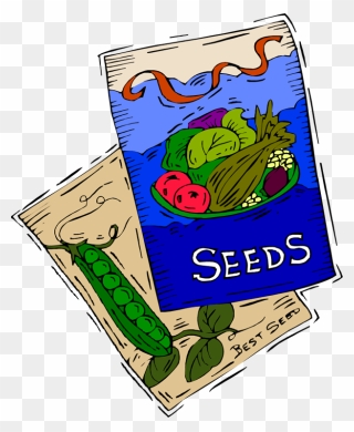Vegetable Seeds Cartoon Clipart