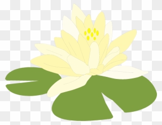 Free Clipart Transparent Background, Free Free Clipart - Green Lily Pad Clipart Png