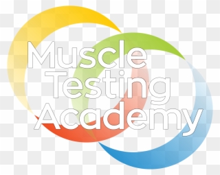 Muscle Testing Academy Personal - Testing Academy Clipart