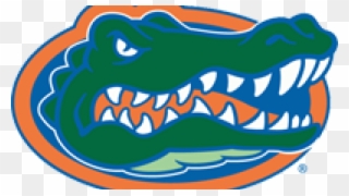 Codes For Insertion - Florida Gators Breast Cancer Clipart