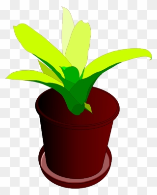 Plant,pot,flower Pot,plant Pot,green,free Vector Graphics - Desenho De Vaso De Plantas Clipart