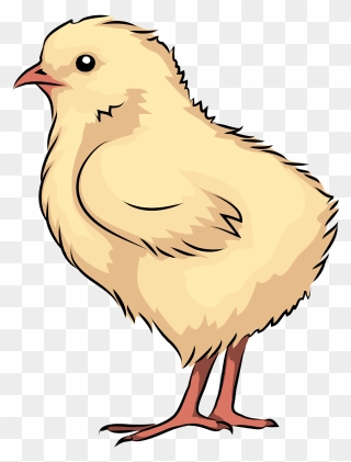 Chick Clipart - Png Download
