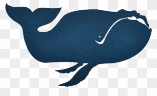 Baleen Whale Porpoise Blue Whale Illustration - Blue Whale Clipart
