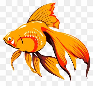 Fish Gif Png Clipart