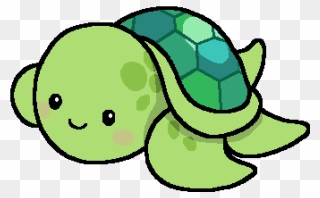 Cute Turtle Drawing Easy Clipart