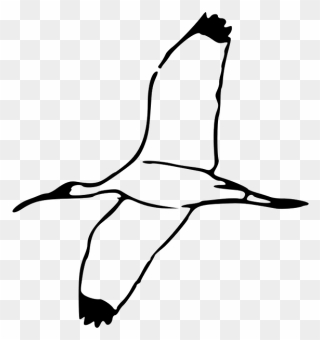 White Birds Flying Clipart , Png Download - Bird Flying Clipart Black And White Transparent Png