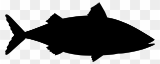 Shark Clip Art Silhouette Black M - Shark - Png Download