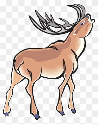 Angry, Deer, Wild, Art, Animal, Antlers - Angry Deer Cartoon Clipart
