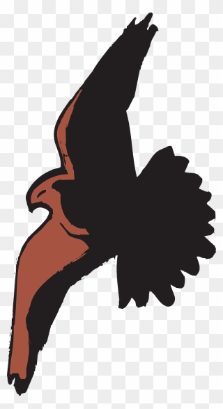 Bald Eagle Bird Hawk Cartoon Clip Art - Transparent Flying Bird Shadow - Png Download