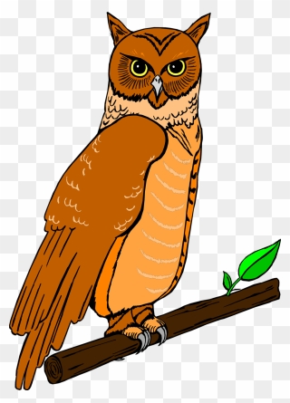 Free Stock Photo - Owl Clipart - Png Download