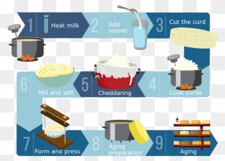 9 Steps For Making Cheese Clipart
