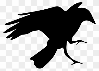 Crow Digital Logo Png - Crow Digital Clipart