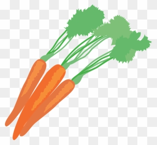 Carrot Vegetable Food Clipart - Carrot - Png Download