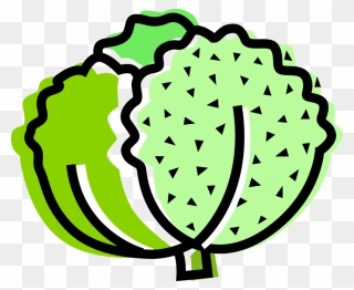 Vector Illustration Of Salad Green Edible Leaf Vegetable Clipart