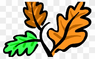 Fall Yard Cleanup - Leaves Clip Art - Png Download