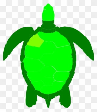 Green Sea Turtle Reptile Clip Art - Green Sea Turtle Clipart - Png Download