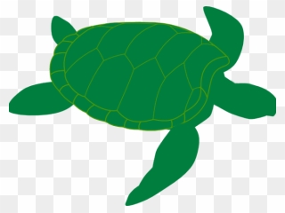 Green Sea Turtle Clip Art - Png Download