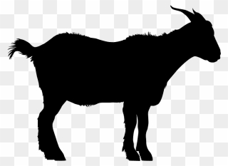 Goat Outline Black Clipart