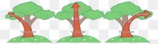 The Same Tree Shown Three Times - Illustration Clipart