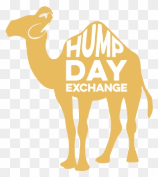 Camel Transparent Hump Day - Arabian Camel Clipart