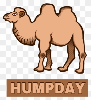 #ftestickers #camel #wednesday #humpday#freetoedit - Dromedary Clipart
