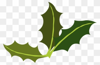 Images copy holly to Holly Leaf