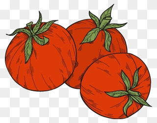 Tomatoes Clipart - Tomato - Png Download