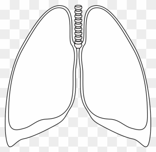 Transparent Lung Png - Lungs Clipart Black And White