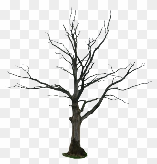 Tree Trunk Clipart Outline Graphic Transparent Black - Dead Tree Png