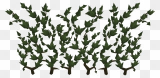 The Runescape Wiki - Runescape Ivy Clipart