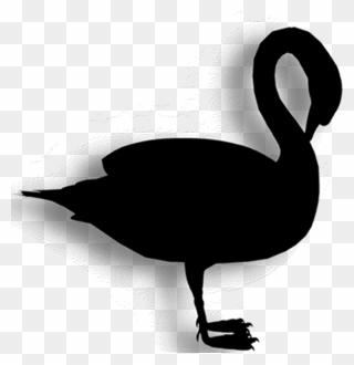 Duck Goose Clip Art Fauna Silhouette - Black Swan - Png Download