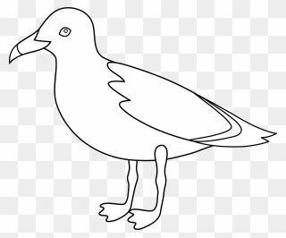 Seagull Line Art - Seagull Fave Drawing Clipart