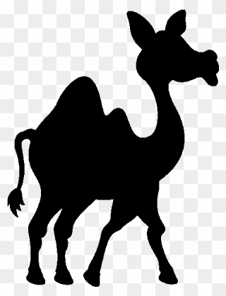 Camel Clip Art Silhouette Pack Animal Terrestrial Animal - Arabian Camel - Png Download