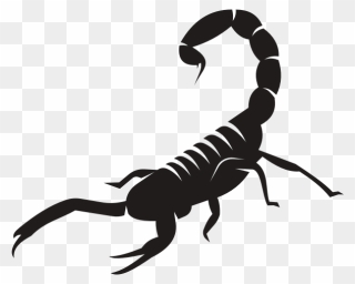 Scorpion Silhouette Clip Art-1576774256 - Scorpions - Png Download