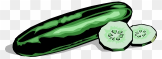 Vector Illustration Of Culinary Edible Vegetable Cucumber - Cucumber Clipart - Png Download