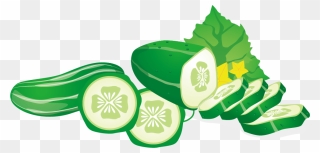 Cucumber Vegetable Euclidean Vector Fruit - Cucumber Clipart
