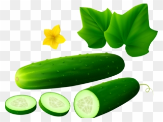 Transparent Cucumber Clipart - Cucumber Clipart White Background - Png Download